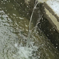 Waste Water
