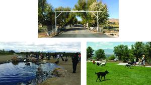 Willow park in Lehi
