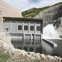 Jordanelle plant