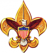 Boy scout emblem